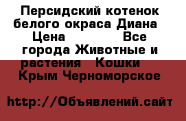 Персидский котенок белого окраса Диана › Цена ­ 40 000 - Все города Животные и растения » Кошки   . Крым,Черноморское